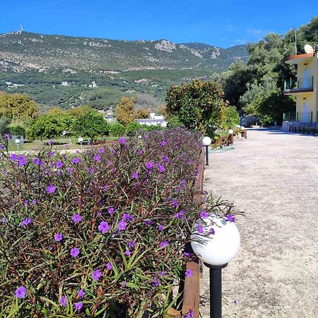 Villa Perkemes Apartments Πάργα Εξωτερικό φωτογραφία