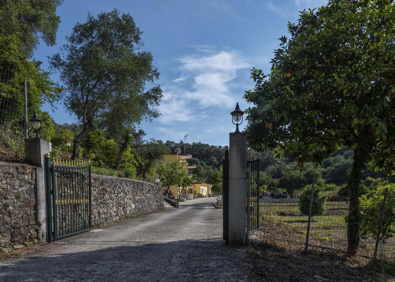 Villa Perkemes Apartments Πάργα Εξωτερικό φωτογραφία