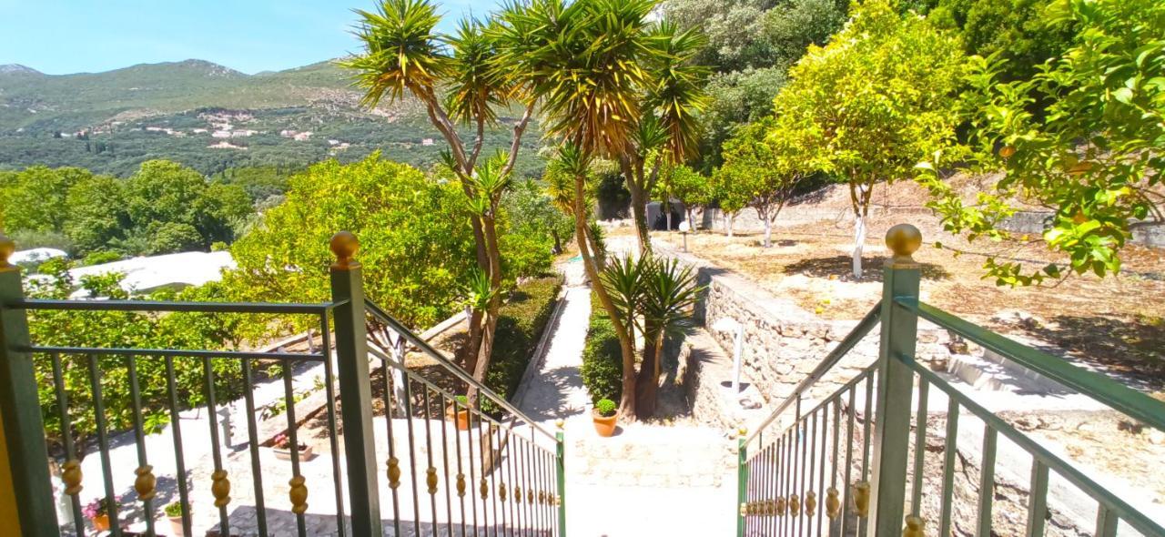 Villa Perkemes Apartments Πάργα Εξωτερικό φωτογραφία