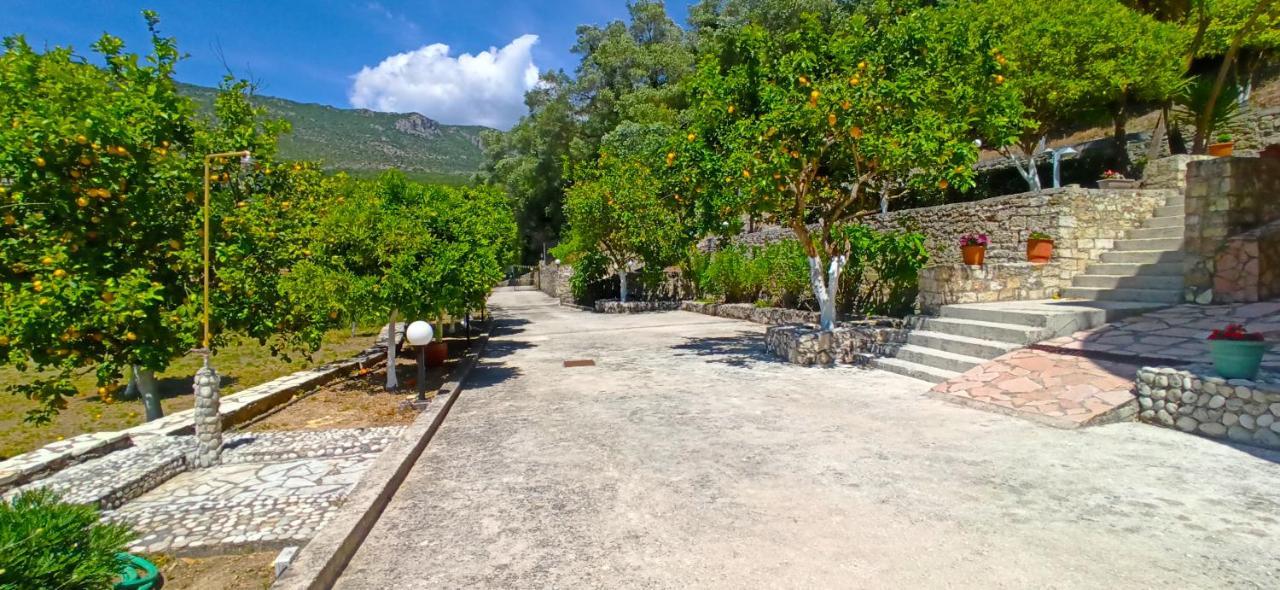 Villa Perkemes Apartments Πάργα Εξωτερικό φωτογραφία